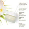 PURE FIJI Regenerative Night Cream Anti Aging Moisturizer Repair Hydrate Recovery Cream Night Moisturizer For Face Natur