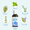 Organic Essential Oil Oil Blends No Solvents Fillers or Synthetic Fragrances Essential Oils for Home Body and Skin Eucal
