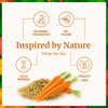 SVA Carrot Seed Oil 1 Fl Oz 100 Natural Cold Pressed Carrot Oil for Face Skin Care Hair Care Scalp Massage Body Massage