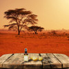 Shea Terra Namibian Marula Oil 100 Pure ColdPressed Extra Virgin AntioxidantRich Oil for Dry Mature and Sensitive Skin N