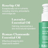 Balmonds Scar and Stretch Mark Oil 50ml 100 Natural Blend of Rosehip Borage and Sea Buckthorn Oils Helps Improve The App