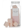 JOON X MOON Sugar Scrub Champagne 1 Pack Exfoliating Body Scrub Moisturizing Aloe and Shea Butter to Soften and Nourish