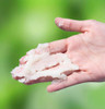 emerginC Scientific Organics GingerLime Sugar Scrub Exfoliating Body Scrub with Vitamin E Moisturizing Shea Butter Ginge