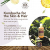 Nature Sustained Organic Body Wash Face Wash Raw Wildcrafted with Probiotics Soapberry Formula for Eczema Psoriasis Wild