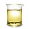 Bella Terra Oils Organic Apricot Kernel Oil 16 oz ColdPressed Nutritional Wonder Packed with Antioxidants Ideal Carrier