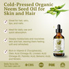 Bella Terra Oils Organic Neem Seed Oil 16oz Harness Organic Neems Timeless Beauty Secrets Infused with Vitamin A Omega F