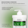 Advanced Clinicals Aloe Vera Lotion Skin Care Relief Cream Vitamin E Infused Hyaluronic Acid Moisturizer Vitamin C Body