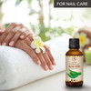 AROMATIKA Aloe Vera Oil 17 Fl Oz 50ml 100 Pure Natural Aloe Barbadensis Brasil Care for Skin Body Hair Growth Face Moist