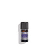 LOccitane Protected Designation of Origin Lavender Essential Oil from HauteProvence 016 fl oz