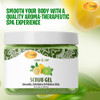 SPA REDI Exfoliating Scrub Pumice Gel Lemon Lime 16 Oz Manicure Pedicure and Body Exfoliator Infused with Hyaluronic Aci
