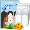 LitBear Large Acne Pimple Patches 5 Sizes 80 Patches for Large Breakouts Acne Patches for Face Chin or Body Acne Spot Pa