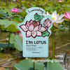 TONYMOLY Im Lotus Luminating Sheet Mask Korean Skincare Face Mask with Lotus Extract Hydrating Moisturizing Essence for
