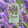 TONYMOLY Im Lavender Sheet Mask Korean Hydrating Moisturizing Face Mask with Vitamin Infused Lavender Rosemary Extract S