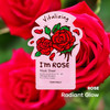 TONYMOLY Im Rose Sheet Mask Korean Hydrating Moisturizing Face Mask with Vitamin Infused Rose Extract Soothes Skin