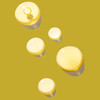 Nature Spell Jojoba Oil PreDiluted Hair Growth Oil Supports Dry Damaged Strands Moisturises Follicles Adds Shine Resilie