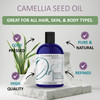 Dr Joe Lab Organic Camellia Seed Oil Japanese Natural Cold Pressed NonGMO Carrier 1 oz Glass Bottle for Skin Hair Nails