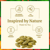 SVA Pumpkin Seed Oil Organic 4 Fl Oz 100 Natural Cold Pressed Organic Pumpkin oil for Face Skin Care Hair Care Scalp Mas