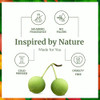 SVA Tamanu Seed Oil 16 Fl Oz 100 Natural Cold Pressed Tamanu Oil for Face Skin Care Hair Care Scalp Massage Body Massage