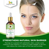 Organic Veda Moringa Oil Virgin 100 Pure USDA Organic Multi Purpose Face Hair Skin Nails Fast Absorbing Moisturizing Bea