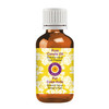 dve herbes Canola Oil Brassica napus Cold Pressed Pure Natural Undiluted For Diluting Essential oils For Skin Massage No