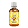dve herbes Brahmi Oil Bacopa monnieri Infused Pure NonSticky Lightweight for Facial Care Men Women 50ml 169 oz