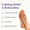 Epielle Relaxing Foot Mask 6 Pairs Soften and Restore with Melatonin Lavender Extract Deep Moisturizing Socks for Dry Cr
