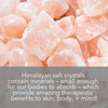 Pure Body Naturals Himalayan Salt Scrub 12 ounces Natural Face Body Hand Foot and Skin Exfoliator Facial Exfoliating Pin