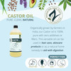 Castor OilRicinus Communis100 Pure Clean Castor Oil32 Ounce