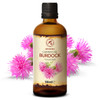 Burdock Root Oil 34 FL Oz 100 Pure Natural Arctium Lappa for Hair Scalp Good benefits for Skin Hair Face Body care Glass