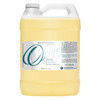 cocojojo Pure Bitter Almond Oil Unrefined Cold Pressed Extra Virgin All Natural Perfect for Hair Face Skin Nails 1 Gallo