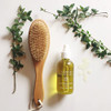 Little Seed Farm Essential Body Oil Rosemary Mint 4oz