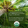Pure Body Naturals Organic Fractionated Coconut Oil for Skin and Hair 4 fl oz Liquid Carrier Oil for Diluting Essential