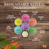 Honey House Naturals Bee Bar Gift Set Small Bee Bar 6 ounces AllNatural Ultra Moisturizing Lotion Bar Infused with Essen