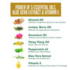 Natures Essence Glowing Gold Facial Kit 500G