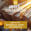 Every Man Jack Mens Bath and Body Gift Set Amber Sandalwood Scent Clean Ingredients Includes Hydrating Body Wash 2in1 Sh