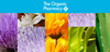 The Organic Pharmacy Essential Skin Care Kit Antioxidant Face Serum 5ml Antioxidant Face Gel 5ml Herbal Toner 10 ml Rose