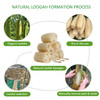 FRTIM Natural Loofah Sponge Organic Bath Loofah Pack Lufas Exfoliating Body Scrubber Loofas Sponges Shower Loofah for Wo