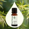 Plant Therapy Tea Tree Essential Oil 100 Pure Undiluted Natural Aromatherapy Therapeutic Grade 10 mL 13 oz