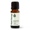 Plant Therapy Scots Pine Essential Oil 10 mL 13 oz 100 Pure Undiluted Therapeutic Grade