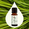 Plant Therapy Organic Atlas Cedarwood Essential Oil 100 Pure USDA Certified Organic Undiluted Natural Aromatherapy for D