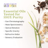 Aura Cacia Sweet Almond Skin Care Oil 16Ounce Natural Source of SkinNourishing Fatty Acids Lipids No Paraben