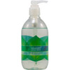 Seventh Generation Hand Wash Free and Clear 12 Ounce