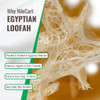 NileCart 22 in Egyptian Loofah Best Scrubbies for Body Natural exfoliating Body Scrubber Shower Loofah Body Scrubber Exf