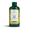 The Body Shop Olive Shower Gel ParabenFree Body Wash 84 Fl Oz Pack of 1
