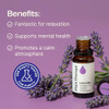 Plant Therapy Lavender Essential Oil 100 Pure Undiluted Natural Aromatherapy Therapeutic Grade 30 mL 1 oz