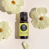 Edens Garden Breathe Easier Essential Oil Synergy Blend 100 Pure Therapeutic Grade Undiluted NaturalHomeopathic Aromathe