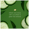 Dove Refreshing Body Wash Revitalizes and Refreshes Skin Cucumber and Green Tea Effectively Washes Away Bacteria While N