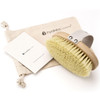 Hydrea London Dry Brushing Body Brush with Cactus Bristle Cellulite Remover Vegan Best Dry Brush for Flawless Skin Helps