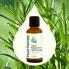 Plant Therapy Organic Rosemary Essential Oil 100 Pure USDA Certified Organic Undiluted Natural Aromatherapy Therapeutic