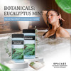 Spazazz Eucalyptus Mint Spa and Bath Crystals